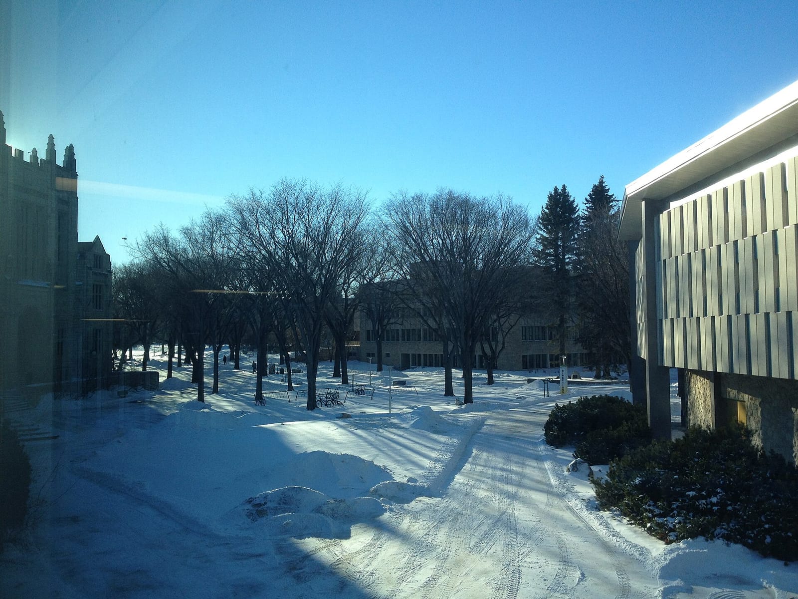 USask Arts Cafe photo 4