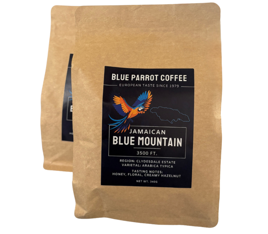 The Blue Parrot Coffee photo 3