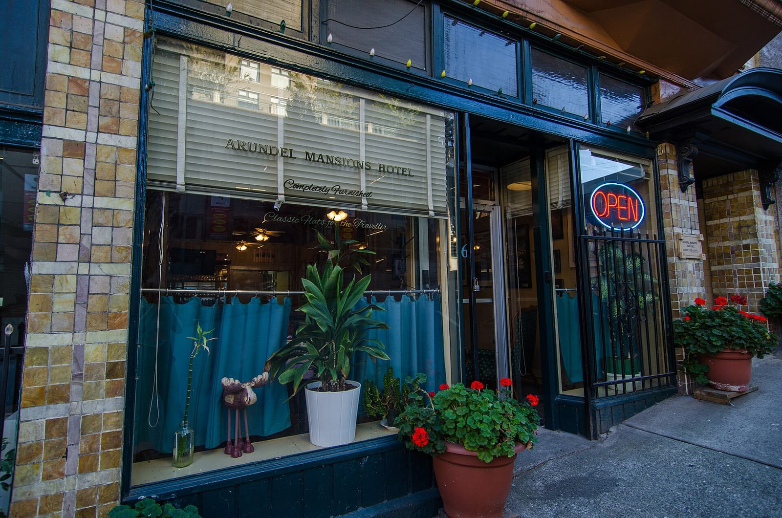 Waves Coffee House photo 2