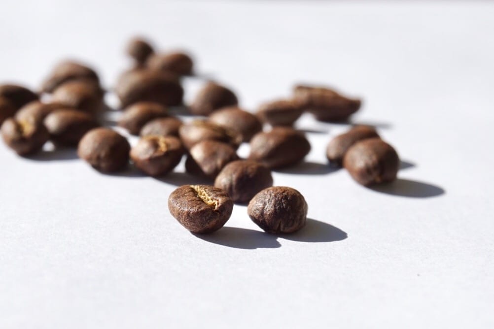 Prototype Coffee photo 3