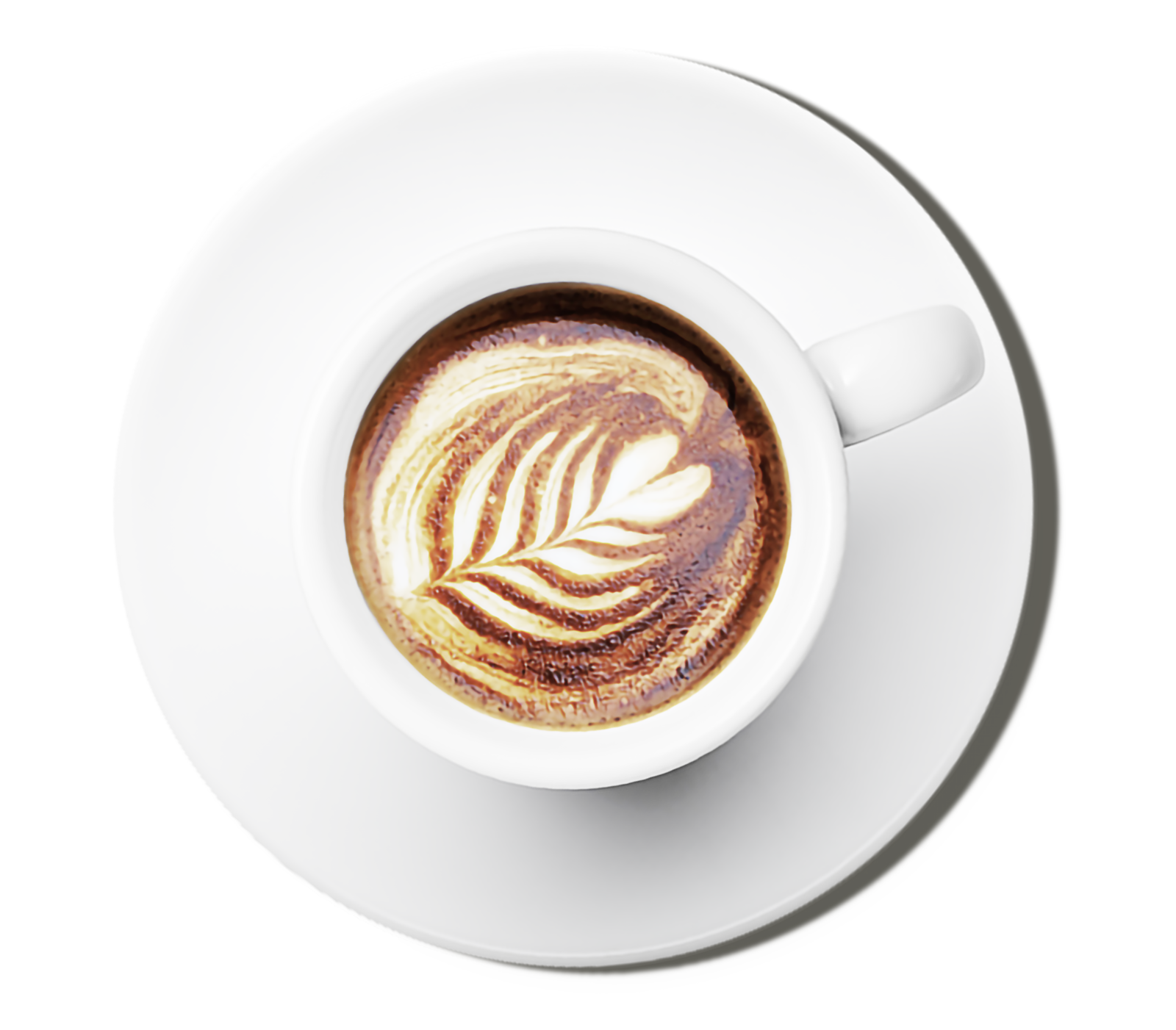 Espresso and Milk photo 3