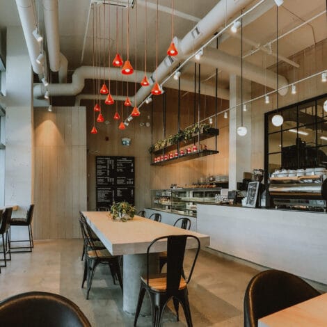 Trees Organic Coffee & Cheesecake photo 2