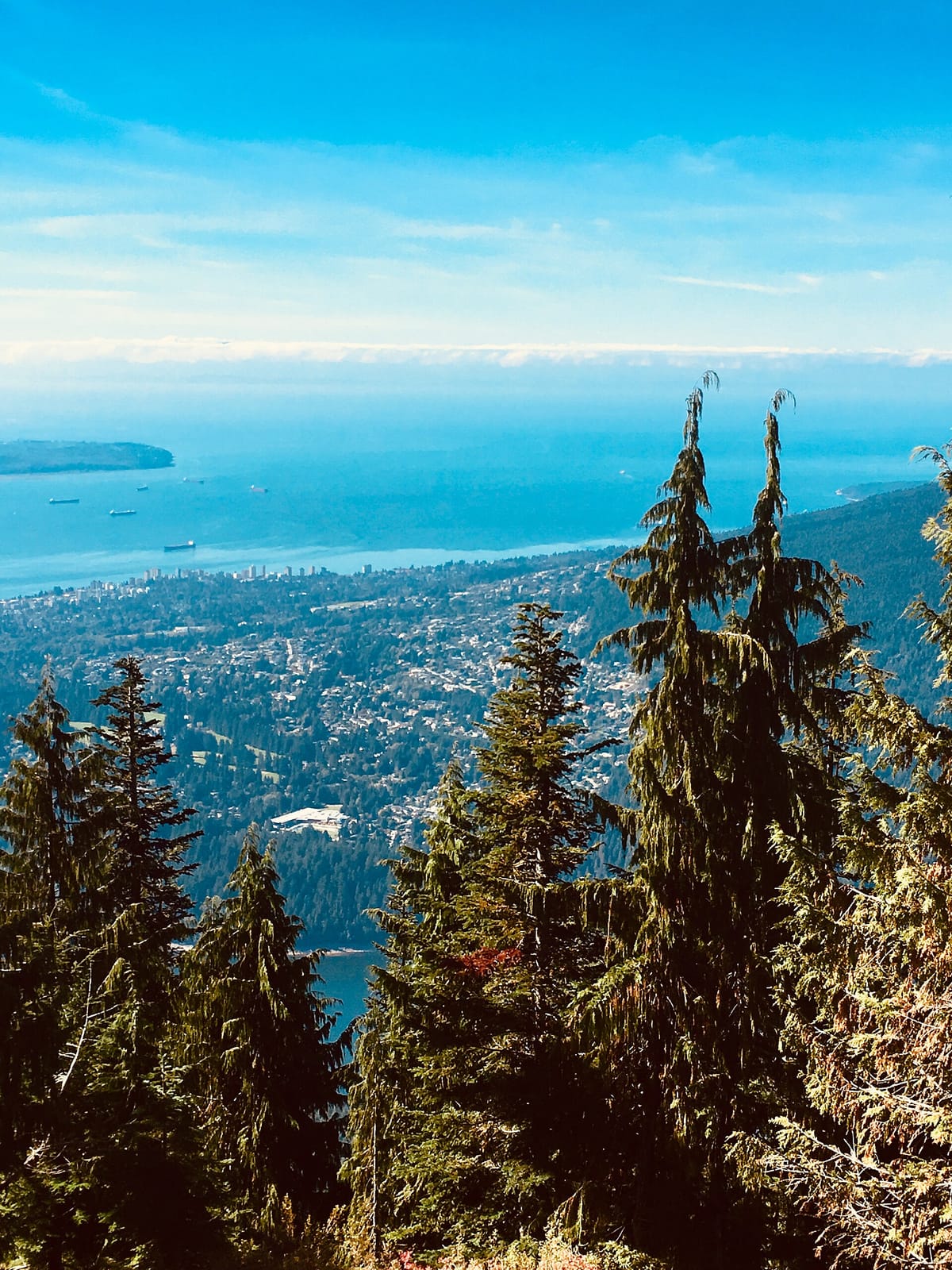 Grouse Grind Coffee Bar photo 3