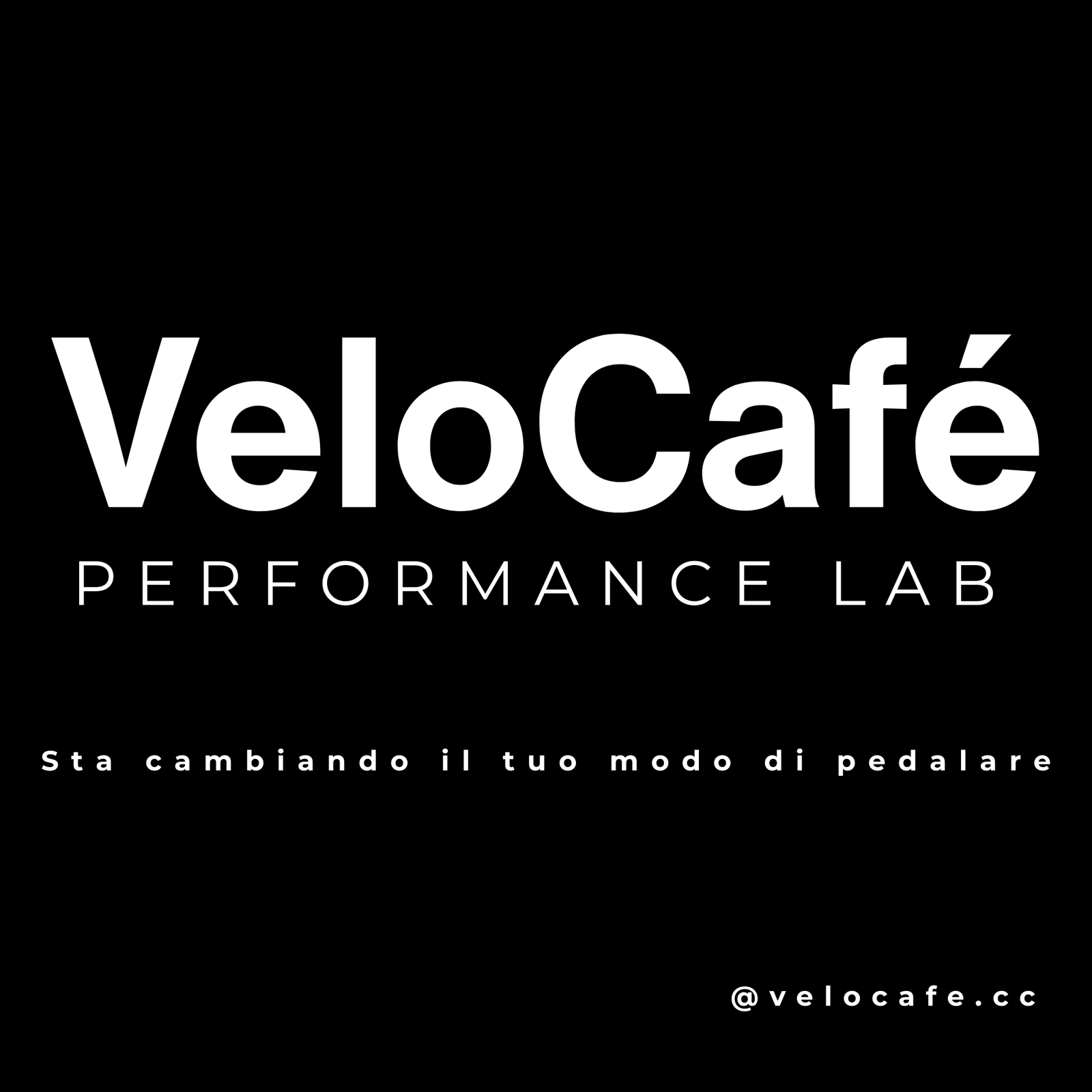 Velo Café photo 5