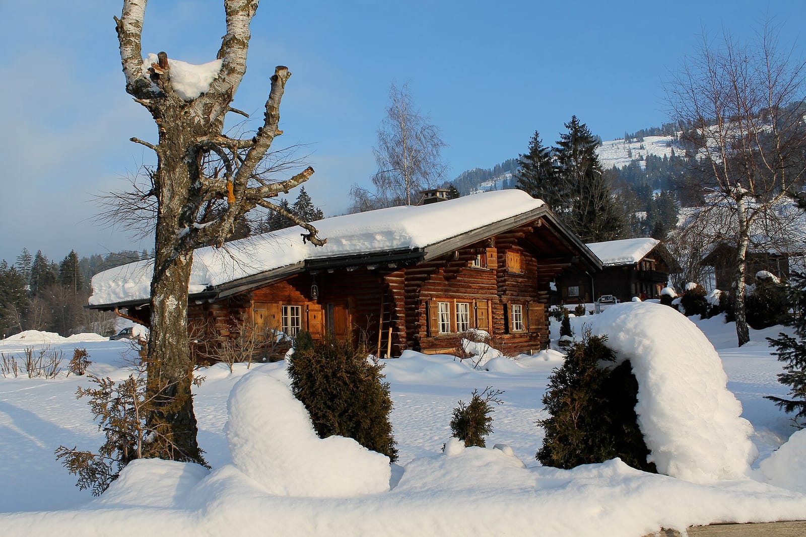 Bärgsunne photo 2