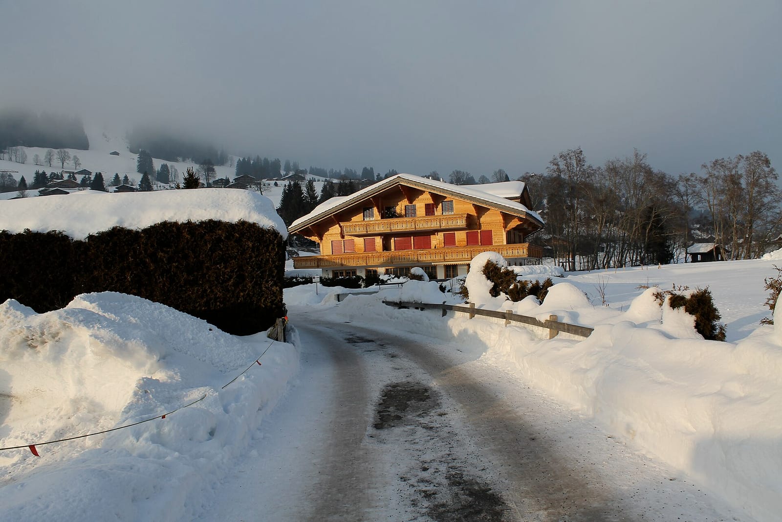 Bärgsunne