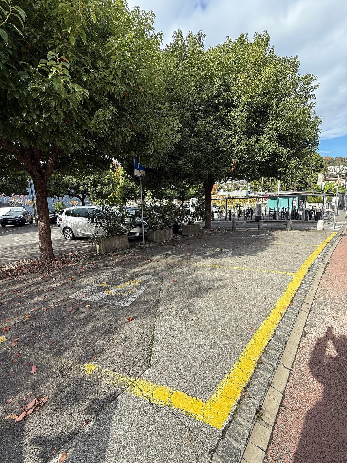 al Porto photo 3