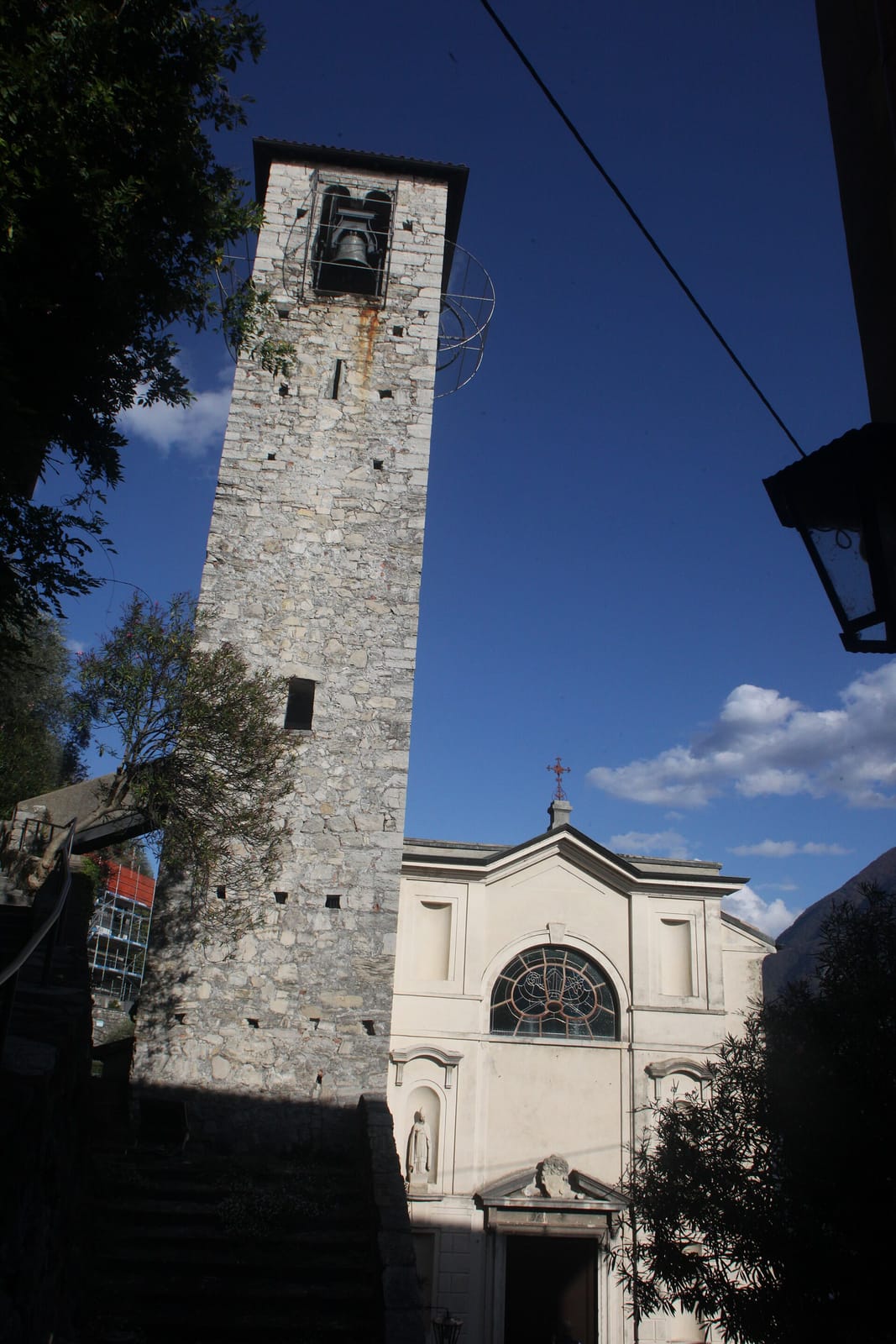 Bouganville