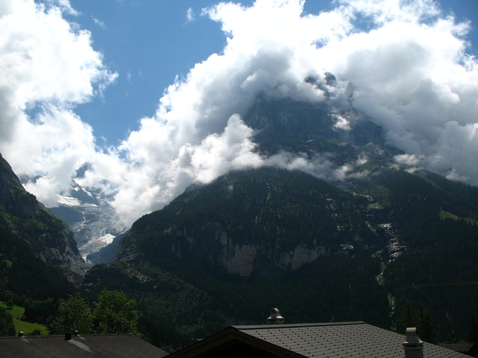 Eigerbean photo 4