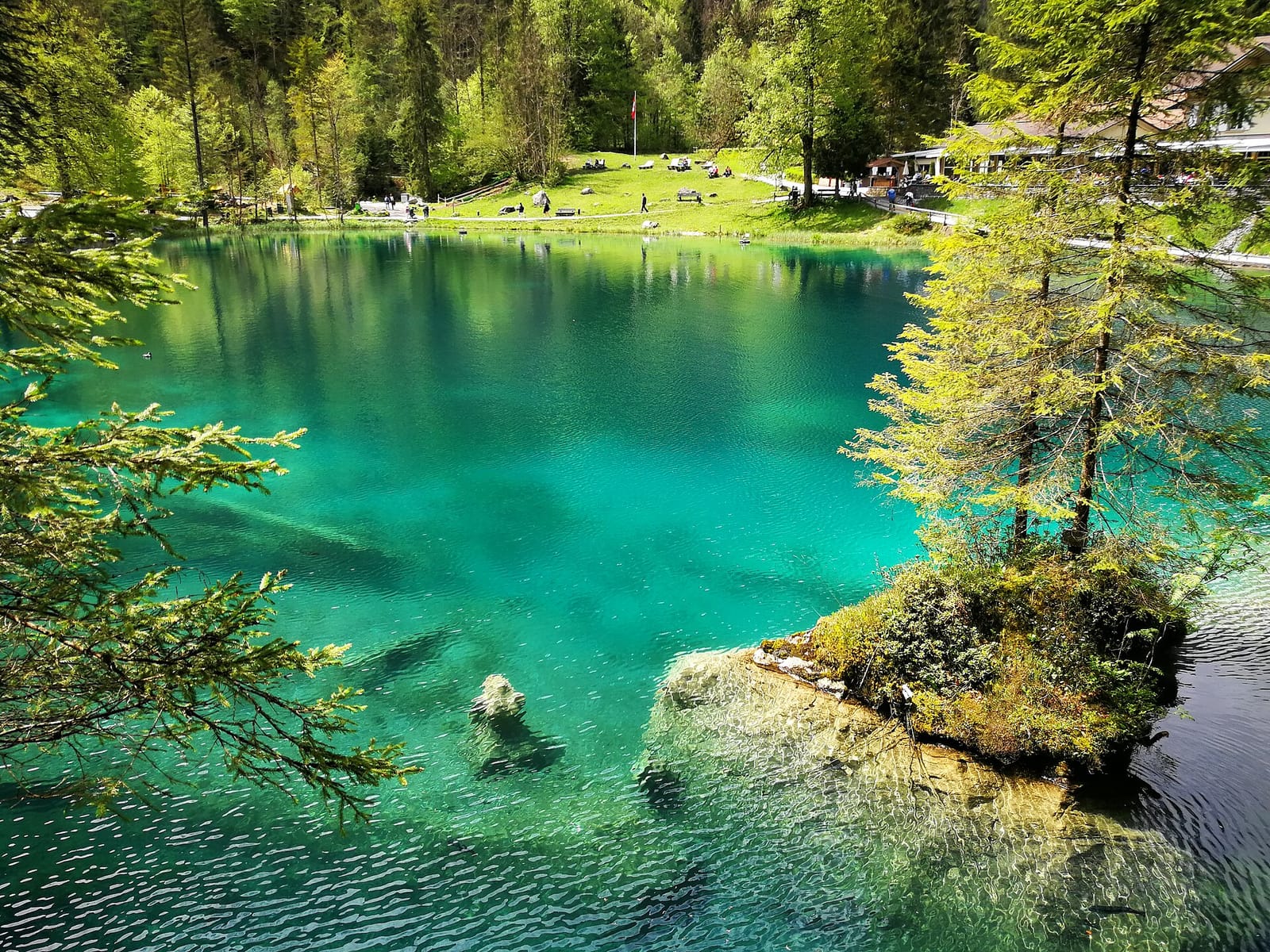 Café Blausee photo 3
