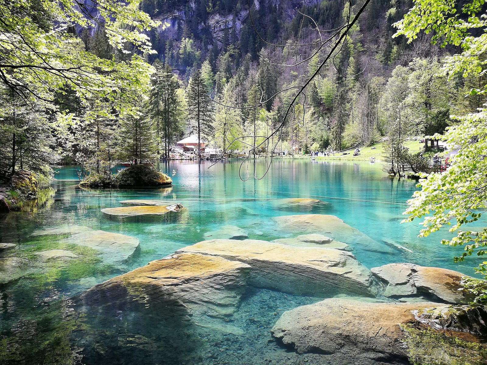 Café Blausee photo 2