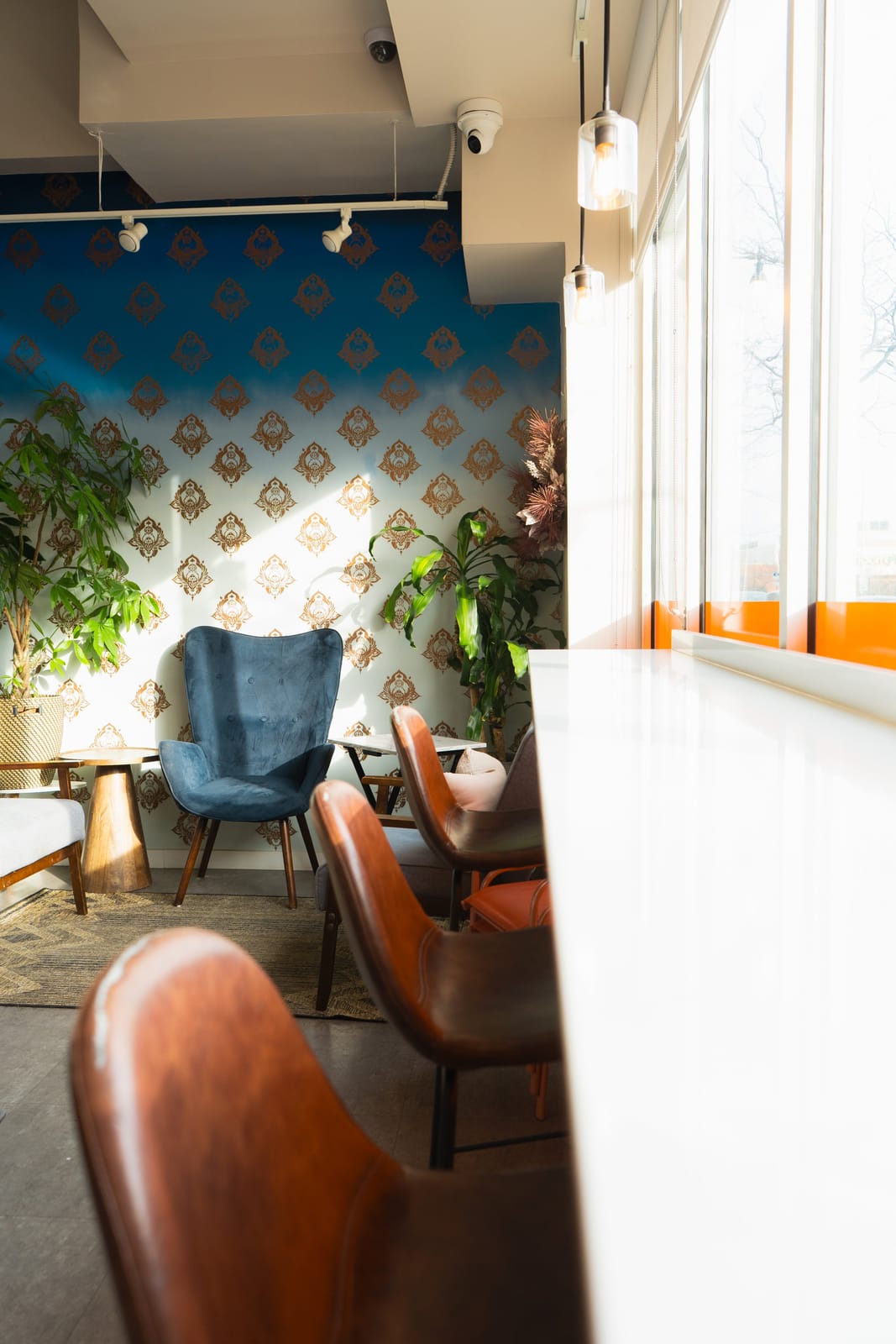 Khepri Cafe photo 3