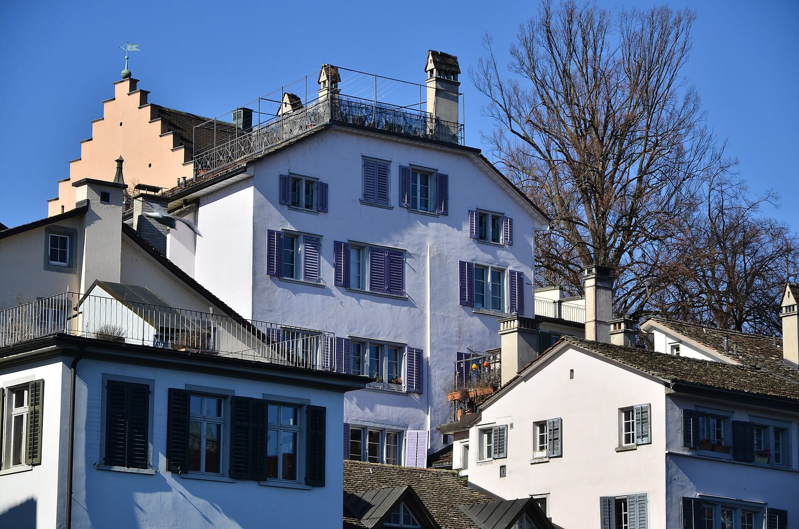 Rathaus-Café photo 3