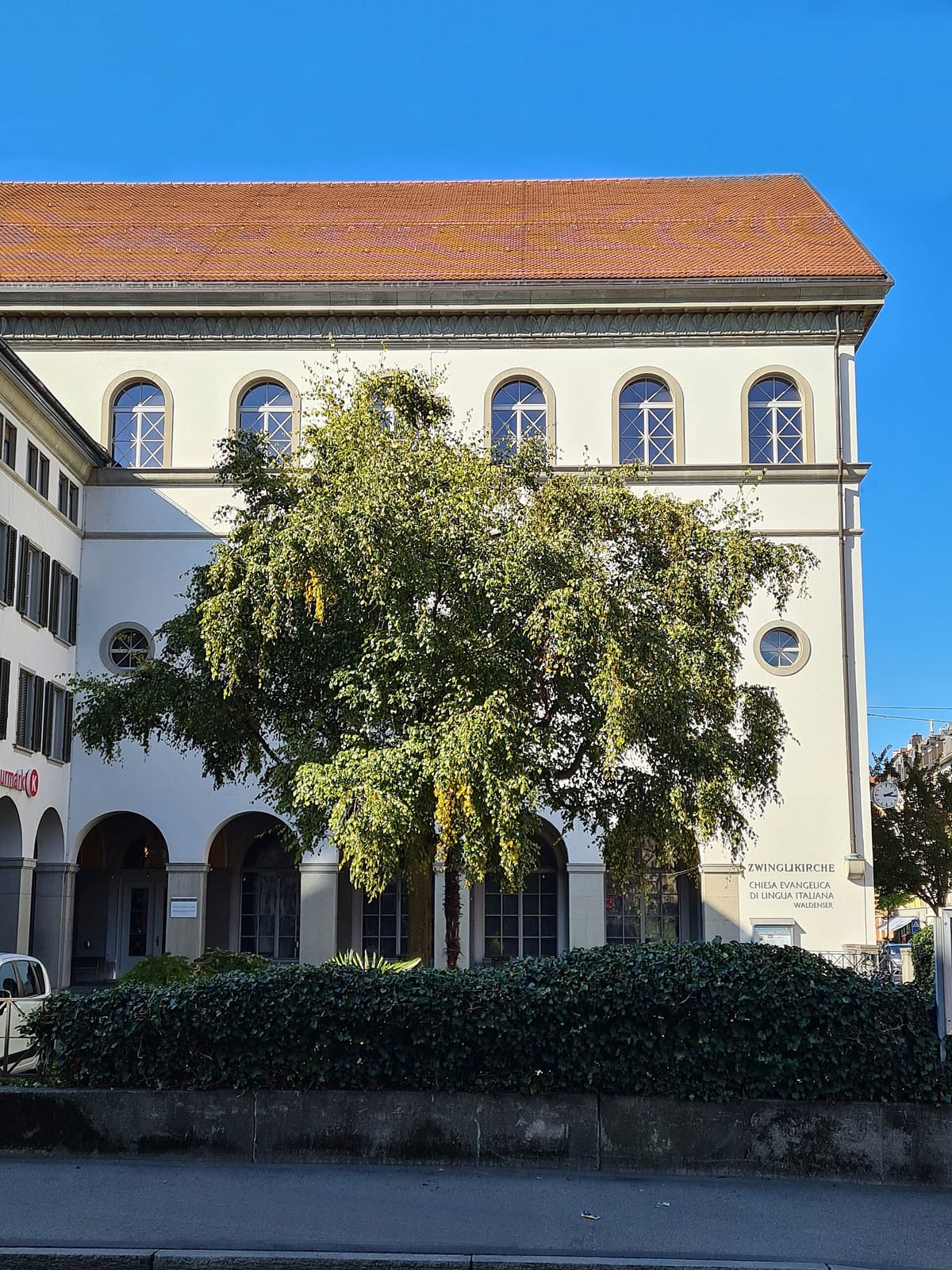 Plüsch photo 2