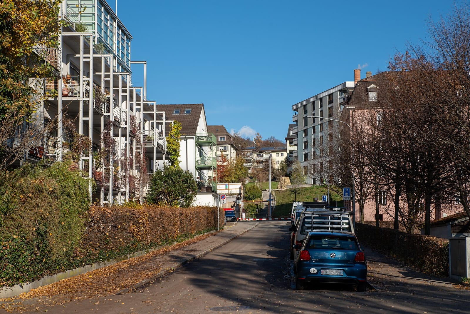 Kafi Tintefisch photo 3