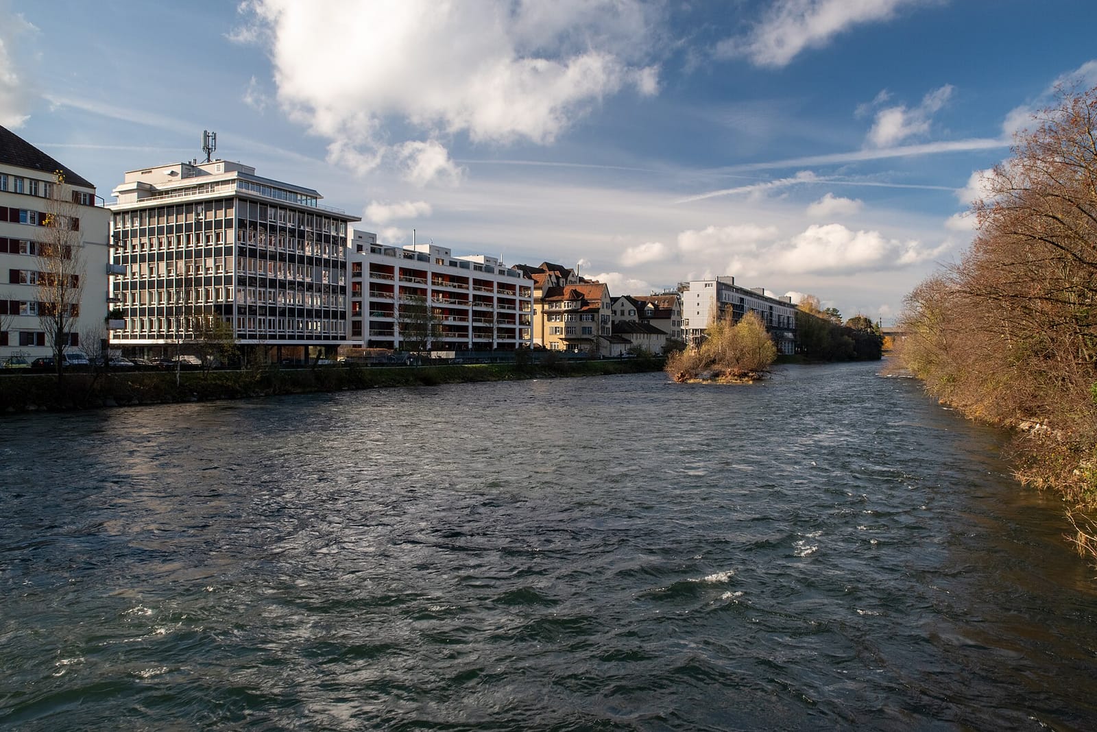 Kafi Tintefisch photo 4