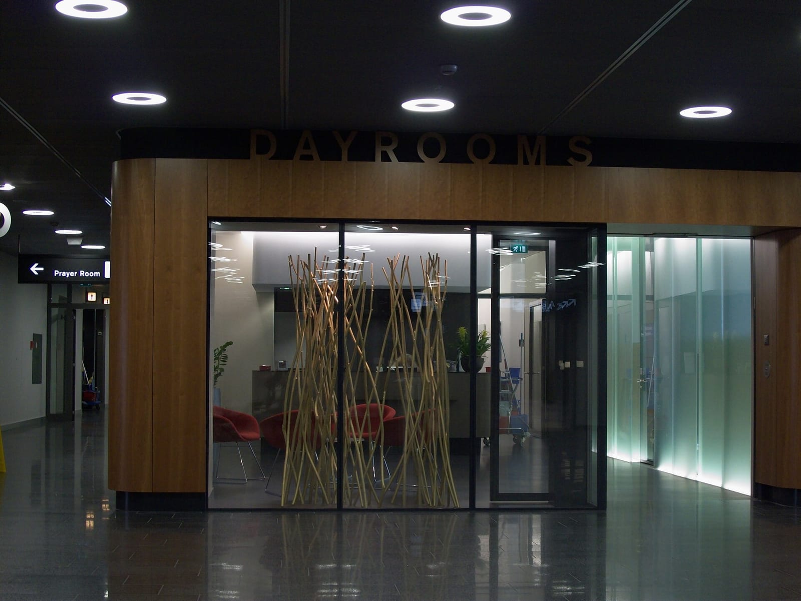 Roots photo 3