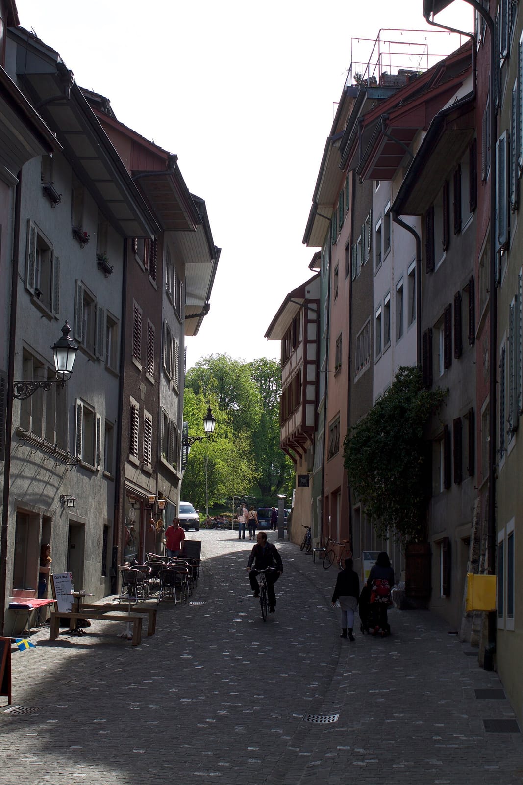Frau Meise photo 4