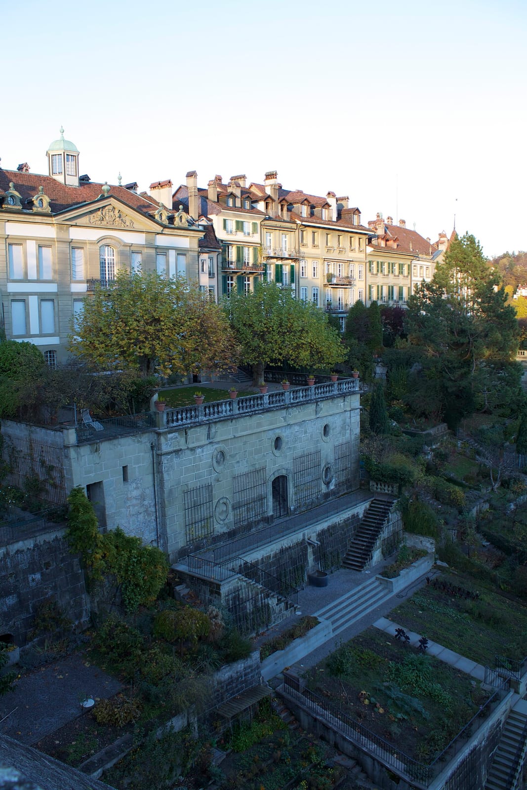 Einstein au jardin photo 3