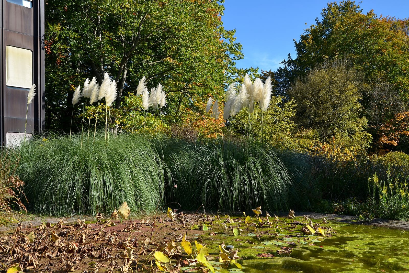 Cafeteria UZH Botanischer Garten photo 3