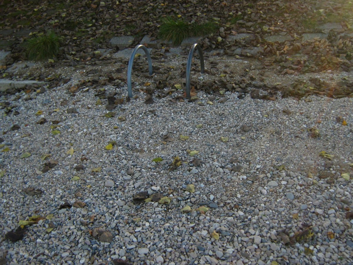 Spatz photo 2