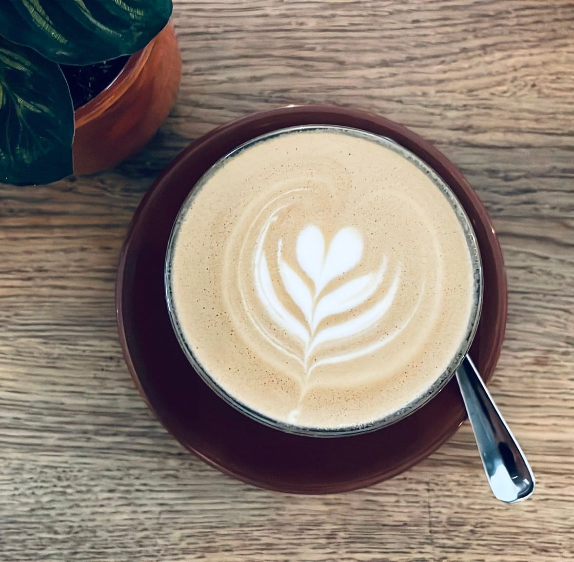 flavour coffee & plants photo 3