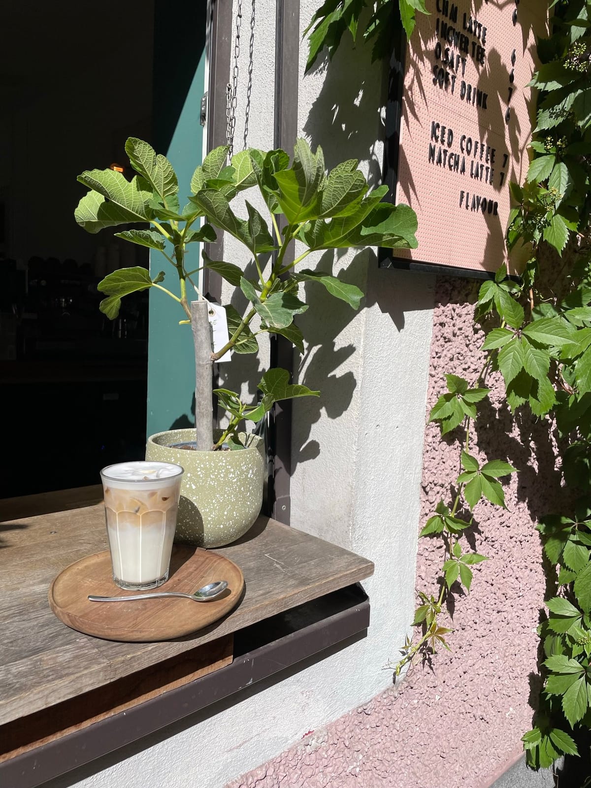 flavour coffee & plants photo 5