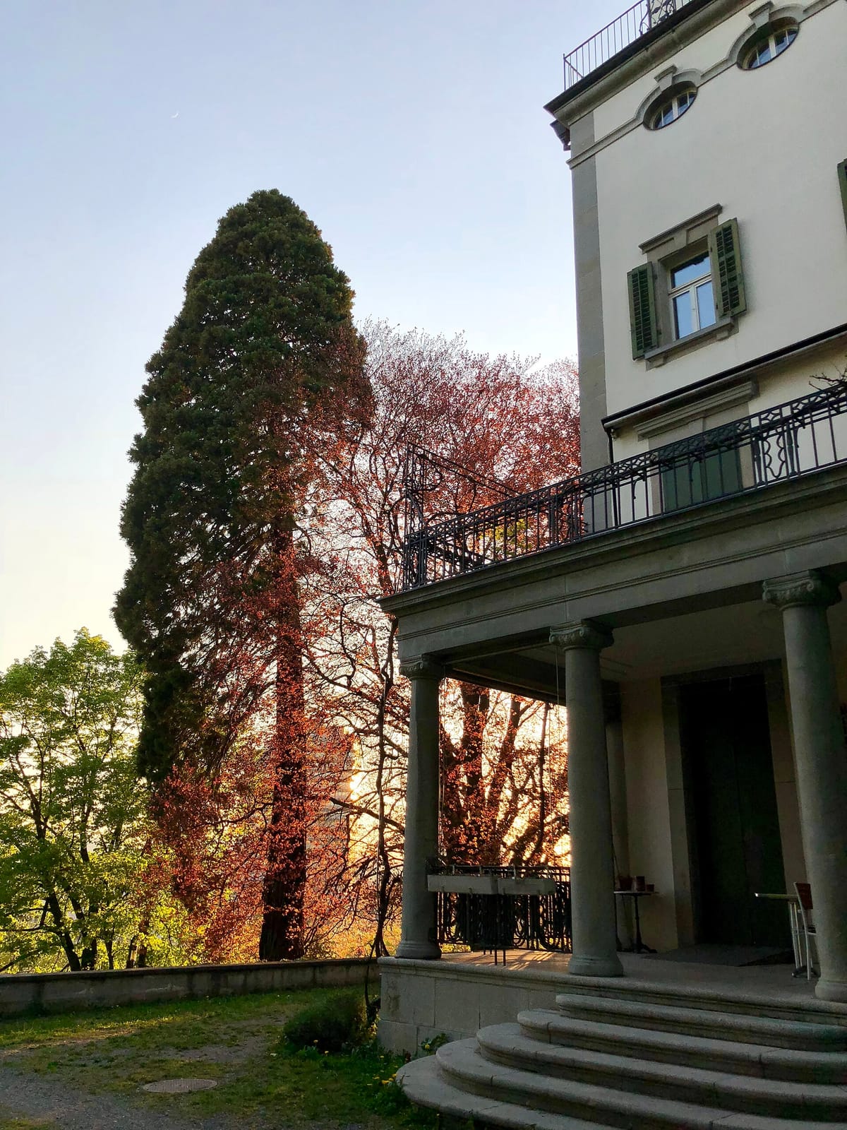 Schigu Kafi photo 3