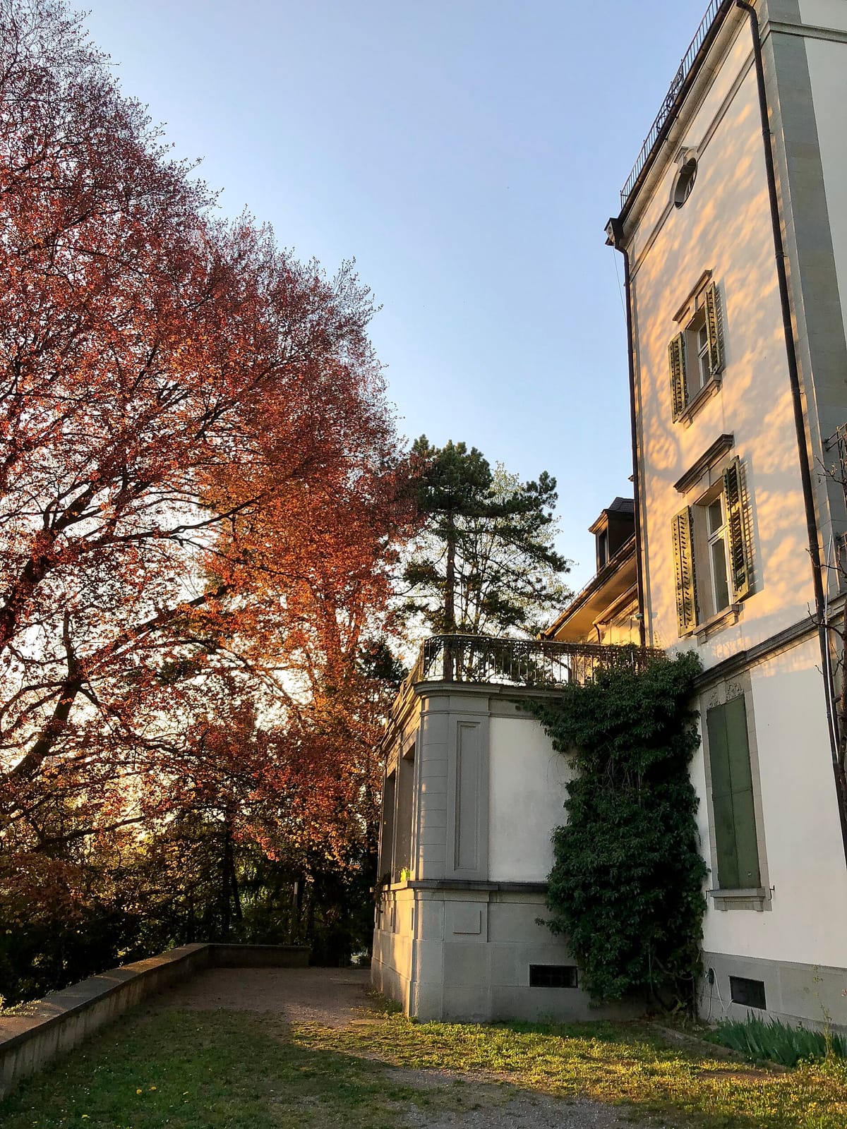Schigu Kafi photo 2
