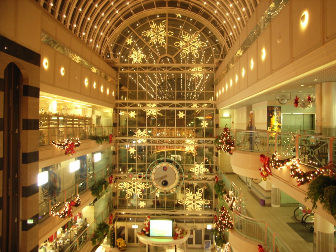 Café des Arcades photo 3