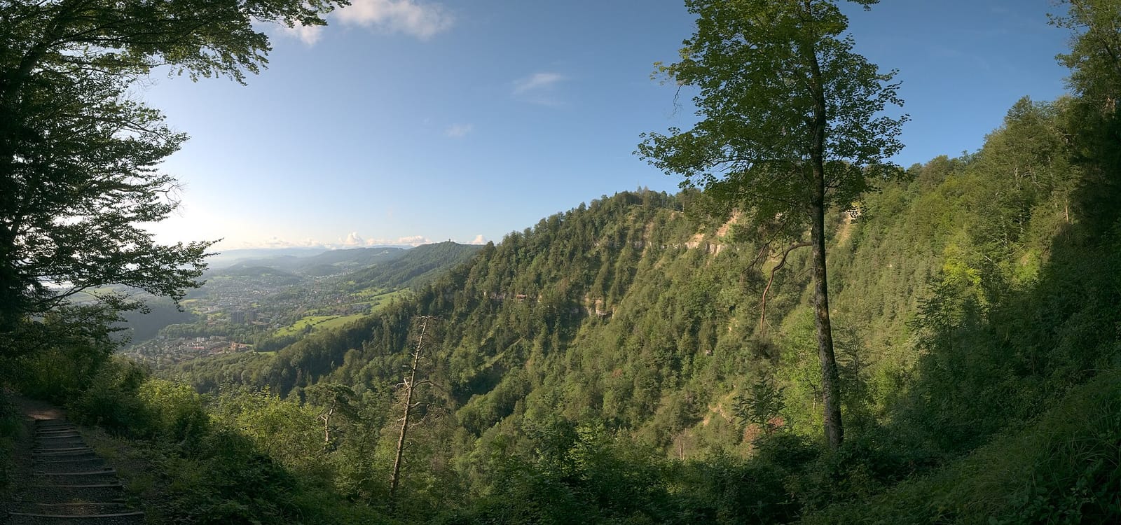 Teehüsli Fallätsche photo 3
