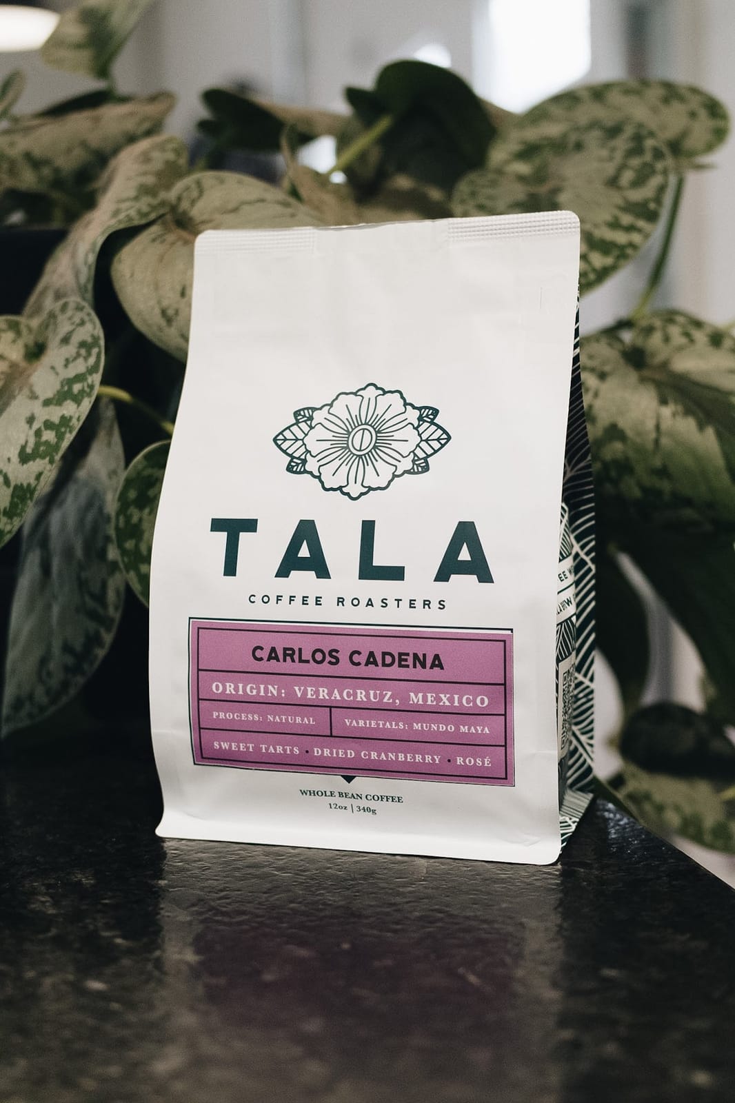 Tala Coffee Roasters photo 7