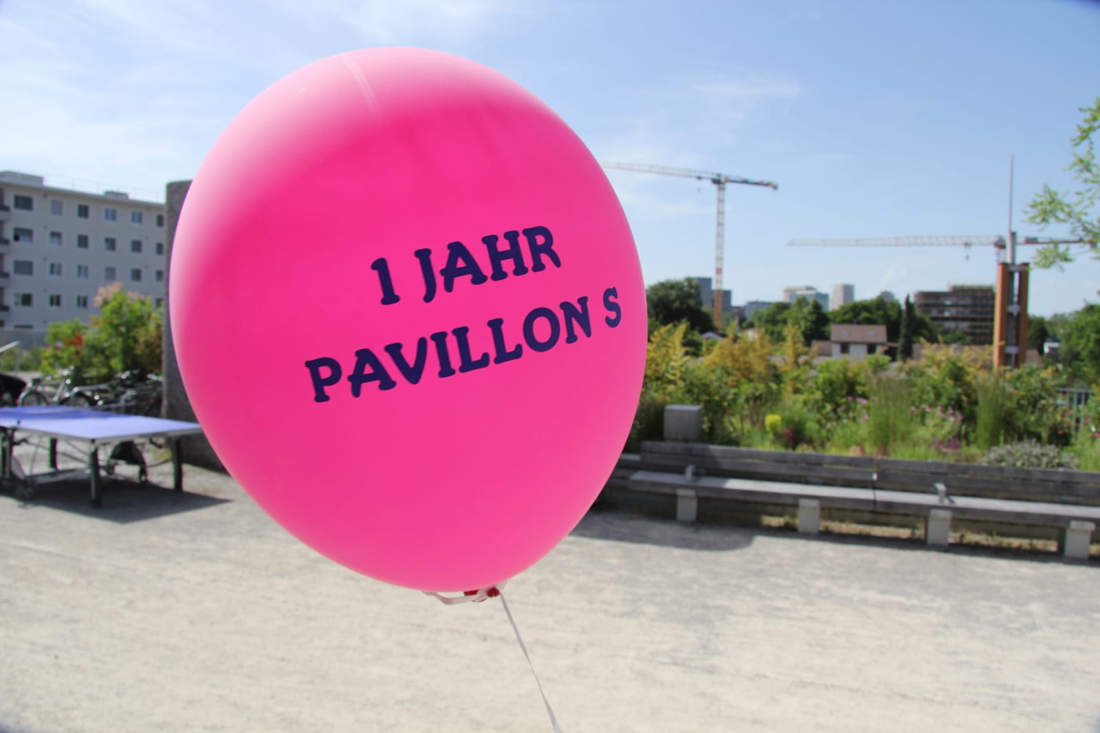 Pavillon S photo 7