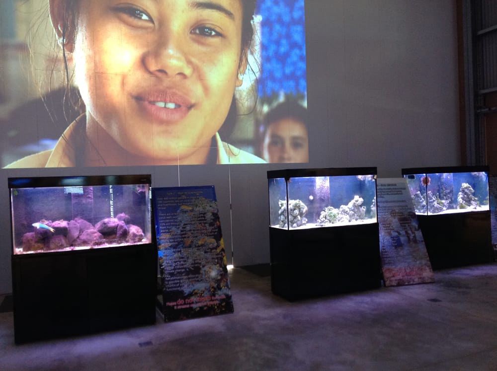 Te Ara Museum photo 3