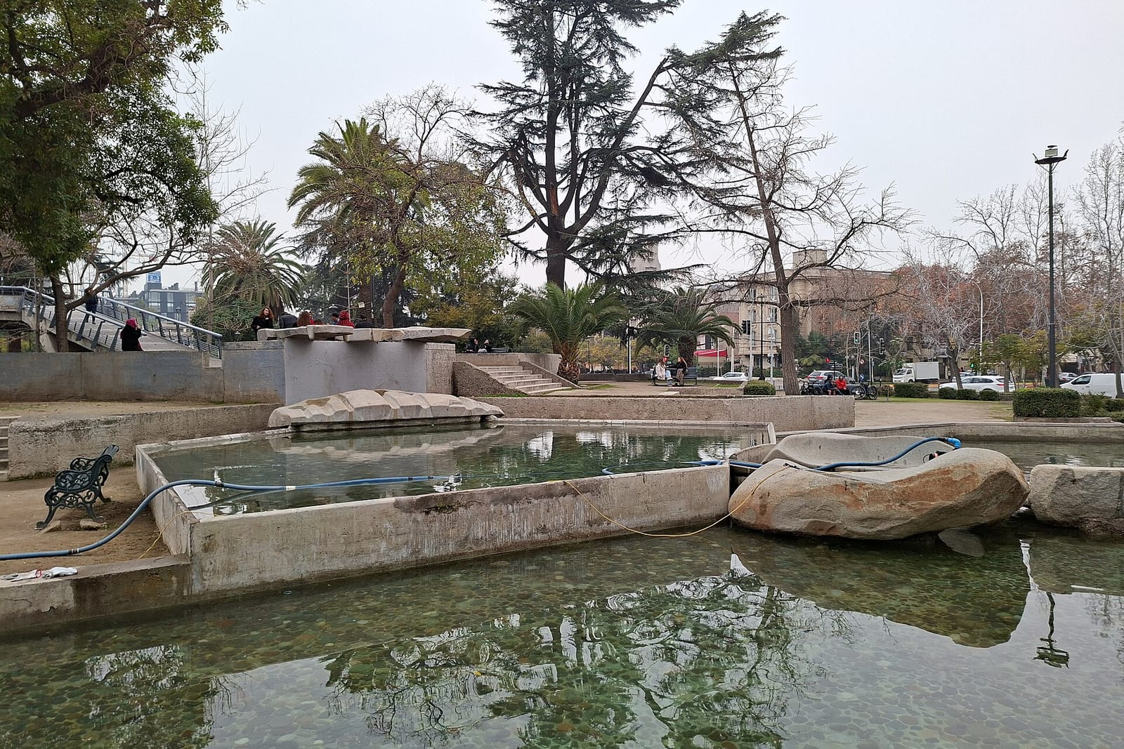 Café Jardín photo 5