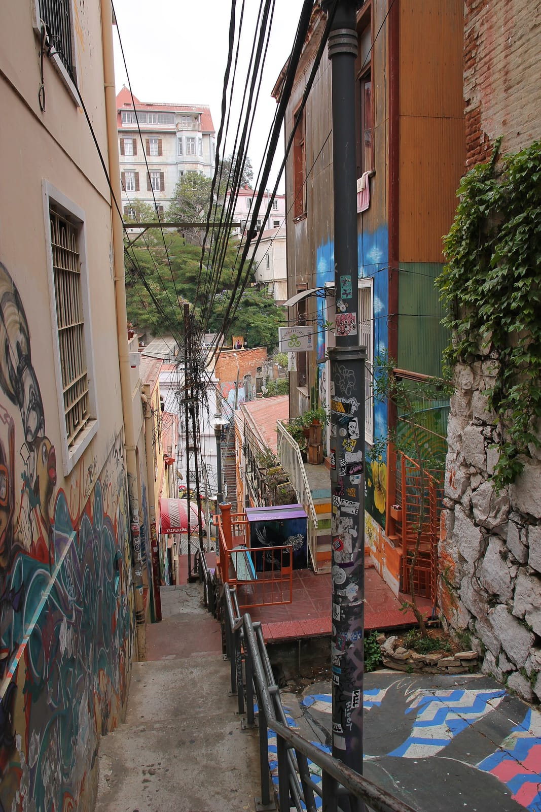 Raíces Café photo 3